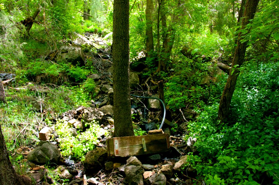 Little L.O. Trail No. 6