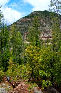 Little L.O. Trail No. 6