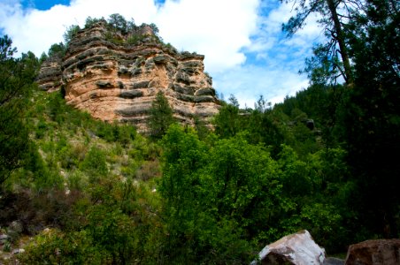 Little L.O. Trail No. 6