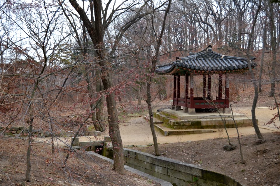 seoul flickr (46)