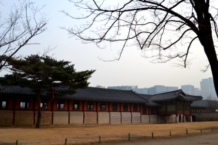 seoul flickr (113)