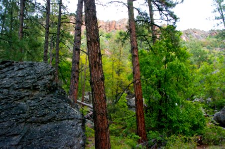 Kelsey Trail No. 3