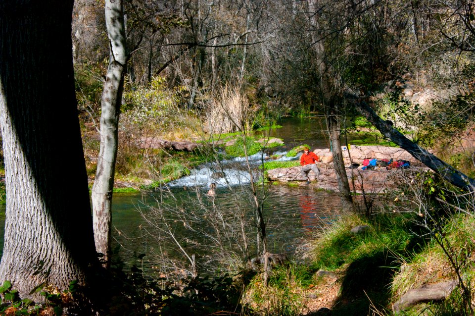 Fossil Springs Wilderness: Springs Area