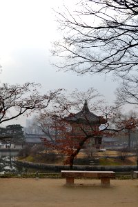 seoul flickr (108)