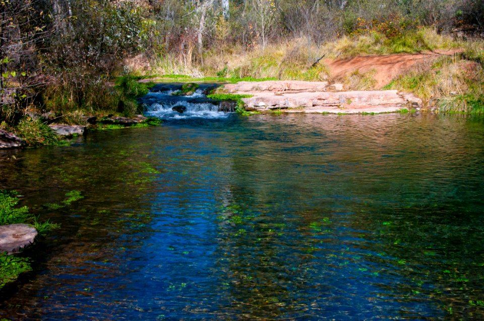 Fossil Springs Wilderness: Springs Area