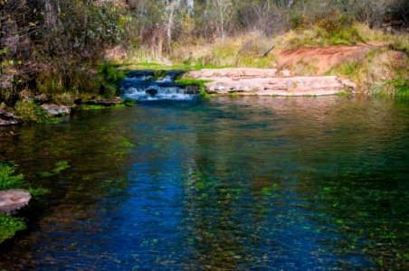 Fossil Springs Wilderness: Springs Area