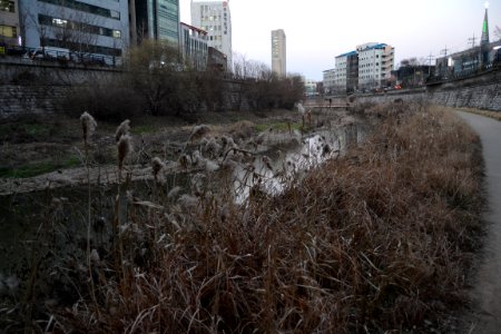 seoul flickr (149)