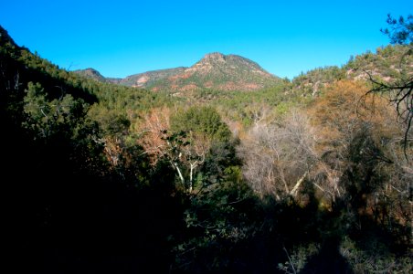 Fossil Springs Wilderness: Springs Area