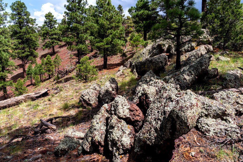 Crater Hike (August 26, 2018)