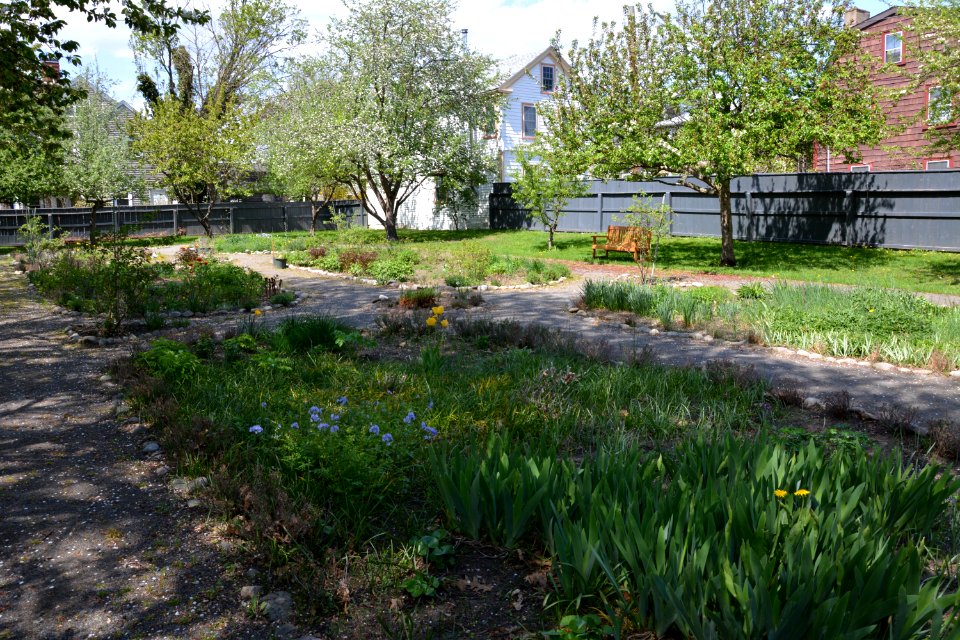 DSC 0120