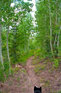 Saddle Mountain Trail