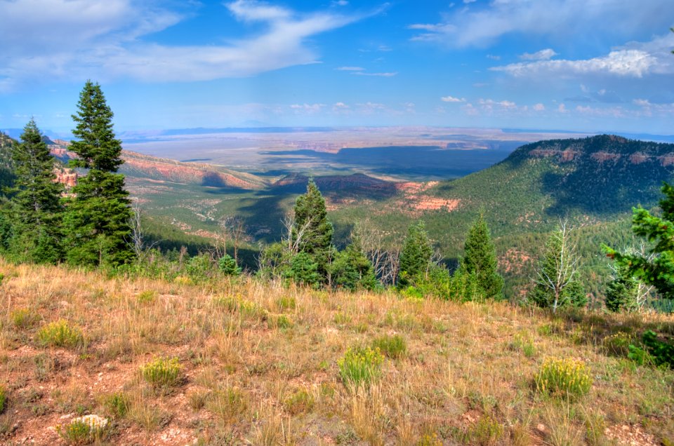 Kaibab Plateau Trail 101