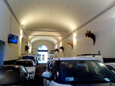 IMG 20141222 104519