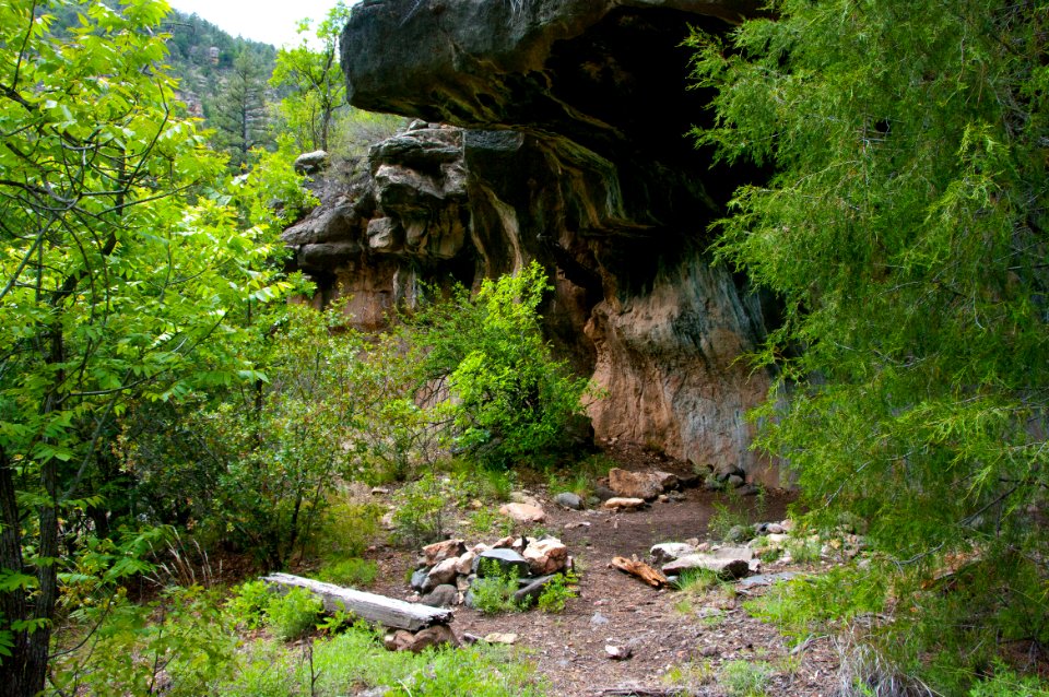 Little L.O. Trail No. 6