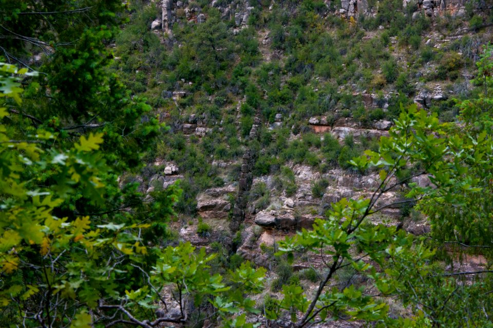 Little L.O. Trail No. 6
