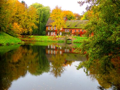 Mirroring leaves house