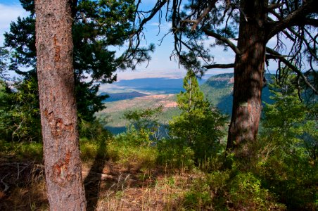 Kaibab Plateau Trail 101 photo