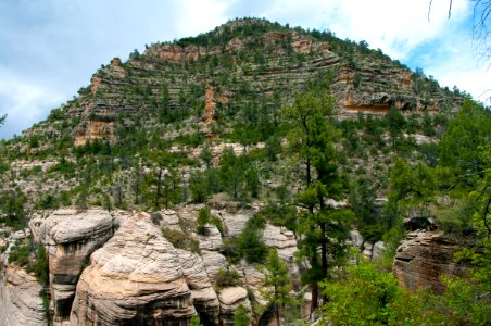 Little L.O. Trail No. 6