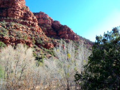 Parsons Trail