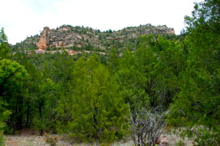 Little L.O. Trail No. 6