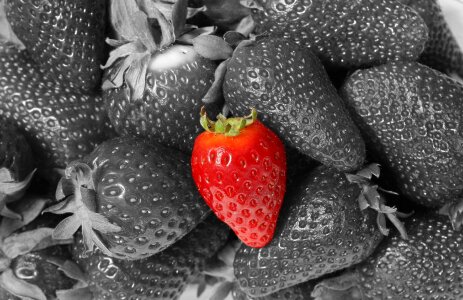 Food vitamins sweet