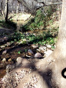 Parsons Trail