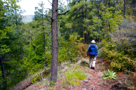Kelsey Trail No. 3