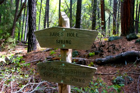 Babes Hole Spring