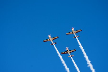 Halcones FACh