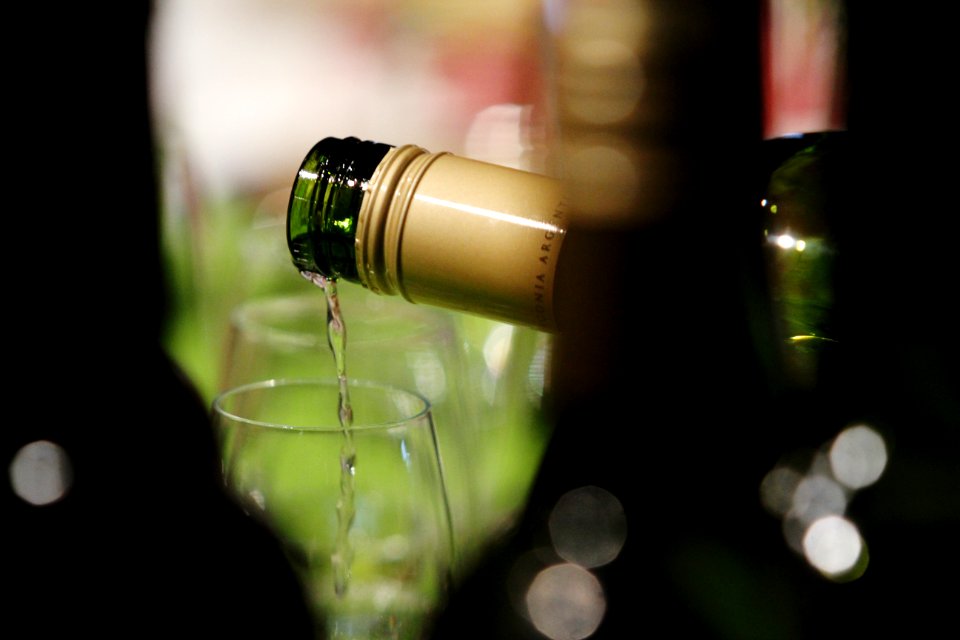 Vinos de la Patagonia