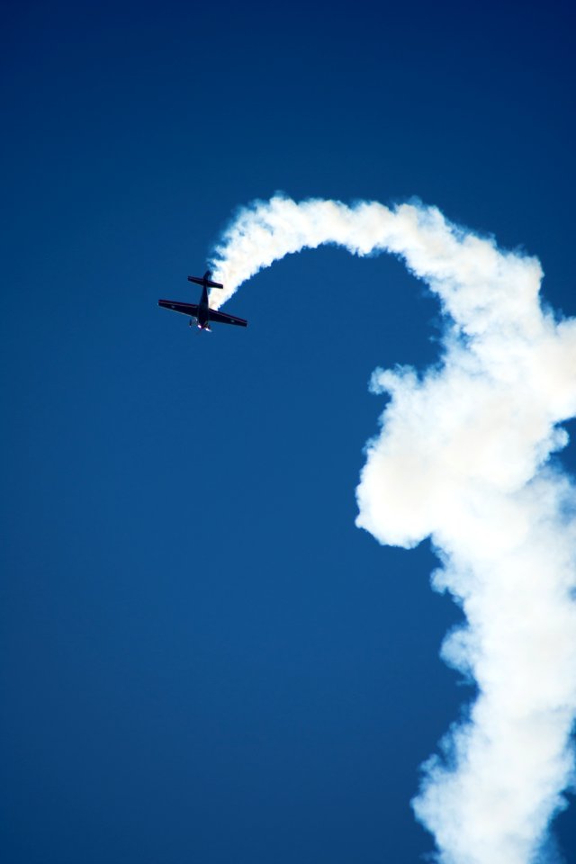 Halcones FACh