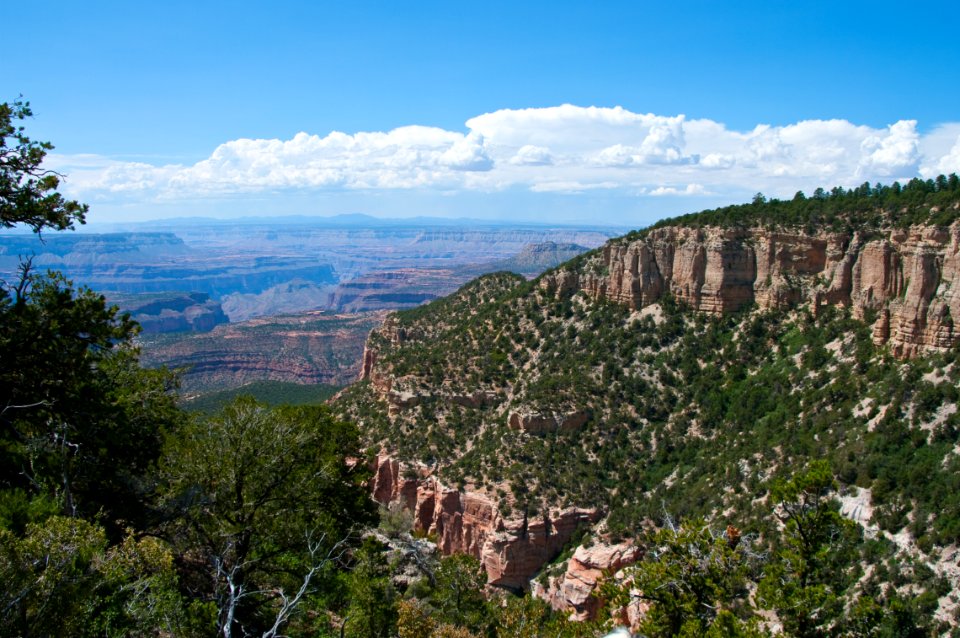 Rainbow Rim Trail