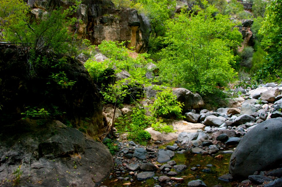 Little L.O. Trail No. 6
