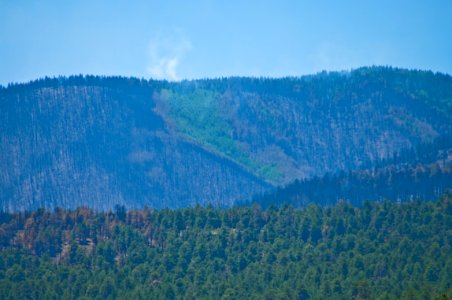 Schultz Fire