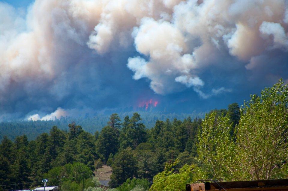 Schultz Fire
