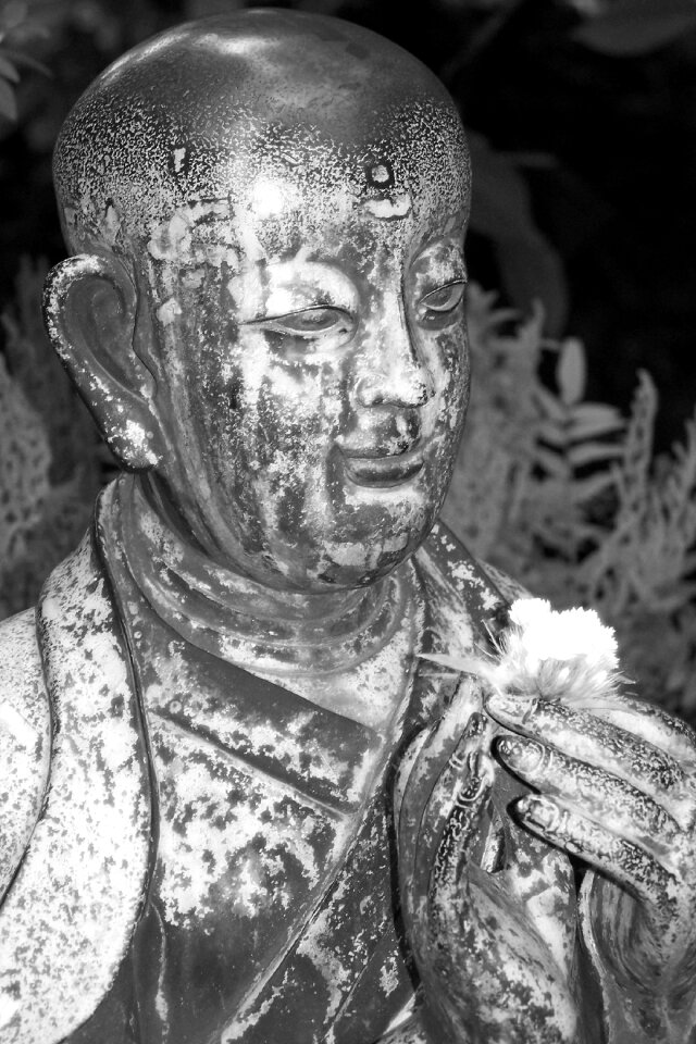 Buddhism japanese face photo