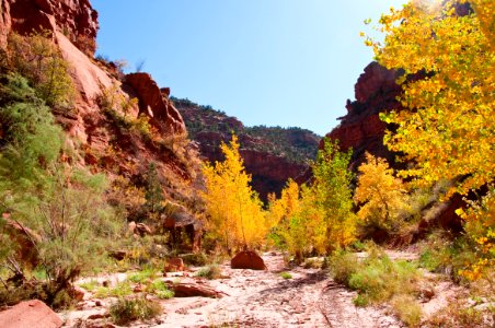 Starlight Canyon
