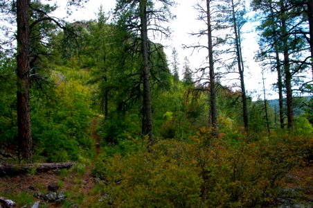 Kelsey Trail No. 3