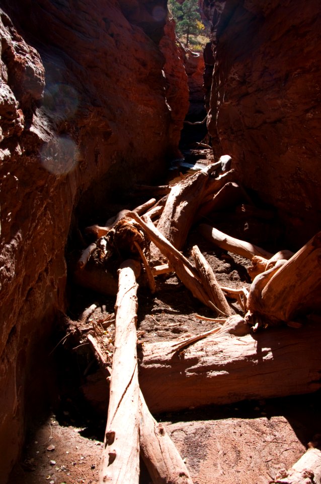 Starlight Canyon