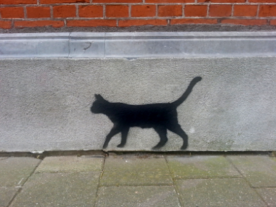 2016.09 - Amsterdam photo of a wall-painting / wall-print: Urban fauna on the wall in the city; Photography of The Netherlands; geotagged free photo in public domain – Fons Heijnsbroek photo