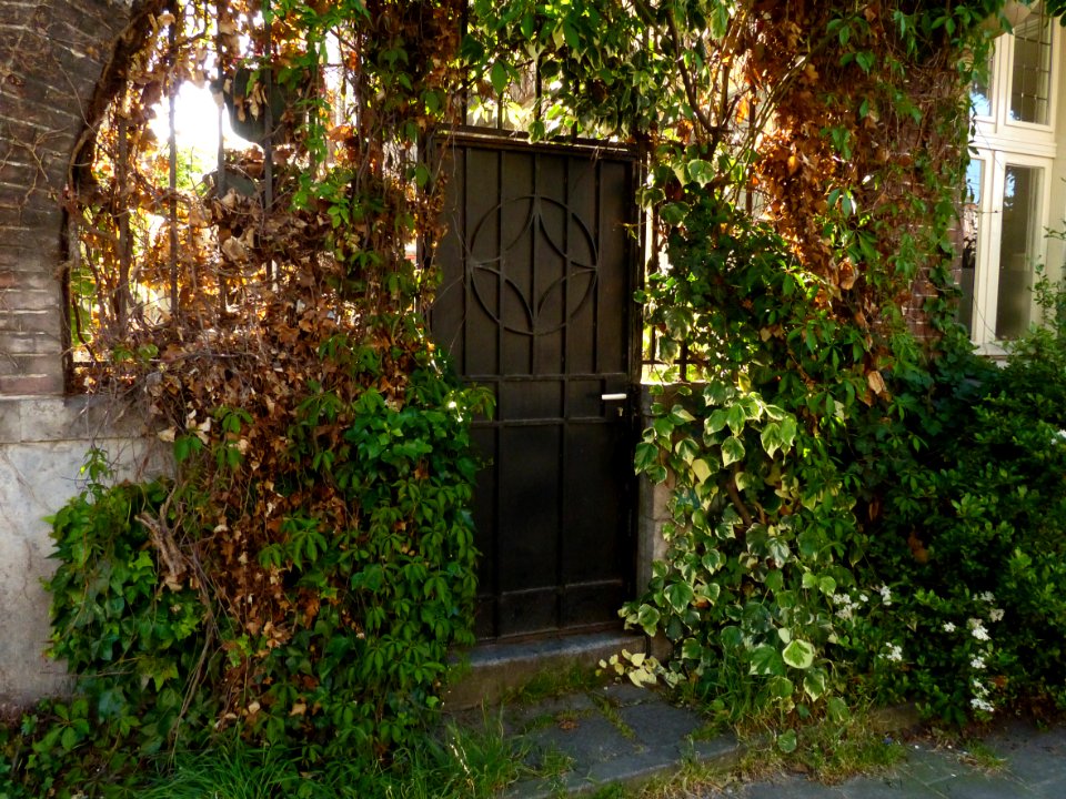 2014.05 - Amsterdam photo of urban nature - Iron gate with green vegetation in sun-light of Spring; a geotagged free urban picture, in public domain / Commons CCO;  city photography by Fons Heijnsbroek, Netherlands