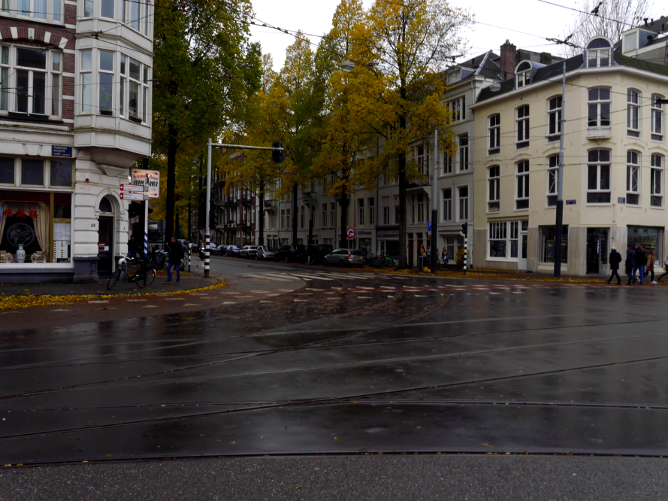 Free photo of Amsterdam: picture of the Plantage Middenlaan with light rain, in Fall', The Netherlands