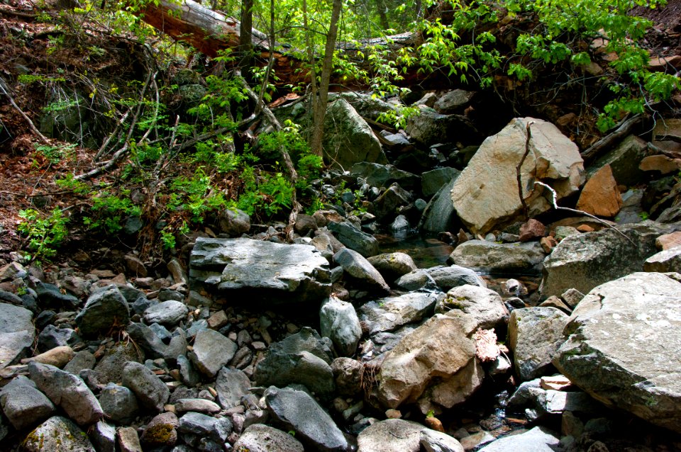 Kelsey Trail No. 3