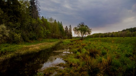Escape to country, part 2
