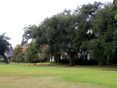 New Orleans