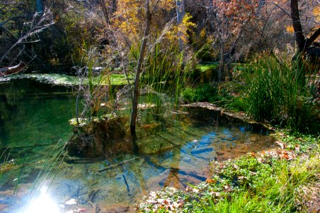 Fossil Springs Wilderness: Springs Area