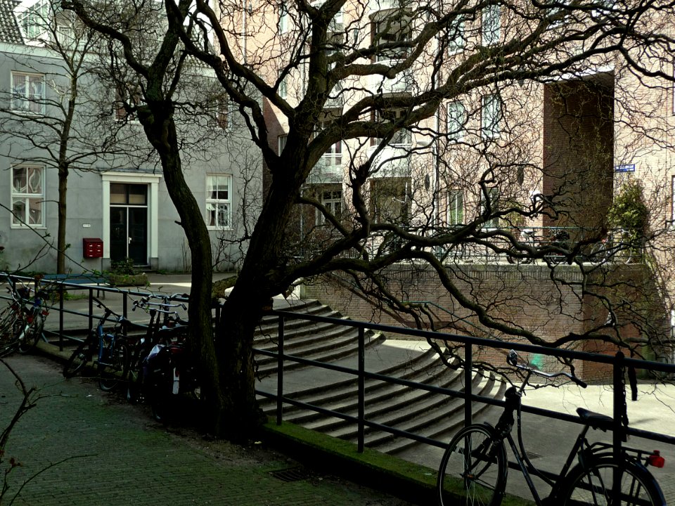 2013.04 - 'View over the courtyard with tree', Matrozenhof, between an old renewed store house - to the right - built circa 1900 and new flat-buildings of the 1990's; in Amsterdam city; urban photography Fons Heijnsbroek