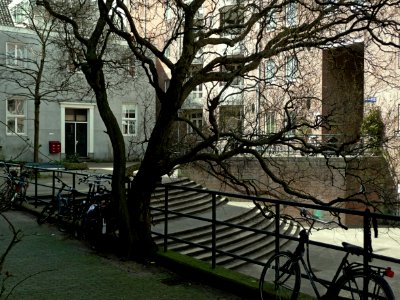 2013.04 - 'View over the courtyard with tree', Matrozenhof, between an old renewed store house - to the right - built circa 1900 and new flat-buildings of the 1990's; in Amsterdam city; urban photography Fons Heijnsbroek