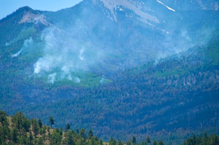 Schultz Fire