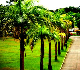 Suspenderam os Jardins da Babilônia